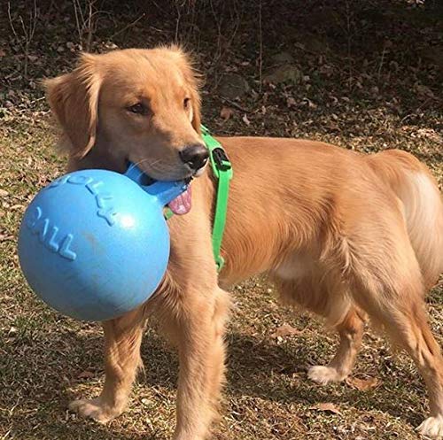 Jolly Pets Tug-n-Toss Heavy Duty Dog Toy Ball with Handle, 8 Inches/Large, Blueberry - color: Blueberry, size: Large (8 in)