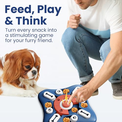 PAWSPIK Interactive Dog Puzzle Toy – Treat Dispensing Slow Feeder for Dogs, Mental Enrichment Toy with Squeaker & 16 Compartments – Durable, Non-Slip, Dishwasher Safe – Light Blue (Orange and Blue) - color: Orange and Blue