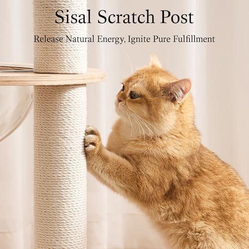 797Audio Modern Solid Wood Cat Tree Tower, 49" Tall Cat Tree with Sisal Scratching Posts and Capsule for Adult Cats, Natural Oak Wooden Cat Tower,Aesthetic Multi-Level Cat Climbing Tree for Indoor Cat - color: 49 Inch-Turntable Toy
