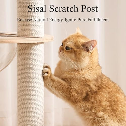 797Audio Modern Solid Wood Cat Tree Tower, 49" Tall Cat Tree with Sisal Scratching Posts and Capsule for Adult Cats, Natural Oak Wooden Cat Tower,Aesthetic Multi-Level Cat Climbing Tree for Indoor Cat - color: 49 Inch-Turntable Toy