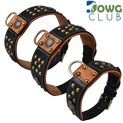 Premium Leather ‘Cupola’ Series Collar for Large Dogs | Celtic Conchos & Gold Dome Rivets | 2 Inch Wide | Soft, Heavy Duty, Cushion Padding | (L (Neck Size 18.5"-22.5"), Sable Black) - color: Sable Black, size: L (Neck Size 18.5"-22.5")