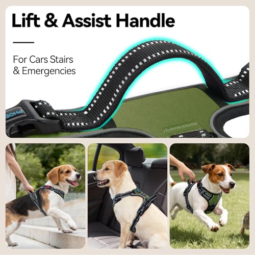 PHOEPET No Pull Dog Harness with Handle Front & Back Clip, Easy on Lockable Snap Buckle at Neck, Adjustable Reflective Vest with Handle for Small Medium Large Dogs (M, Misty Green) - color: Misty Green, size: Medium
