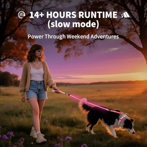 Night Walking LED Dog Leash - 6FT Reflective & Waterproof Light Up Safety Leashes for Dogs - USB Rechargeable, Pink - color: Pink(Fiber optic version)