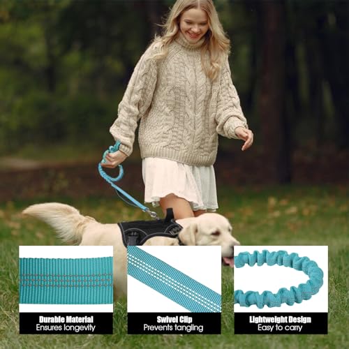 BUMBIN 6Ft Dog Leash Large Dogs, Bungee Dog Leash with 2 Handles, Heavy Duty Leashes for Medium Small Dogs, No Pull Shock Absorbing，with Car Seat Belt for Training, Blue - color: Blue