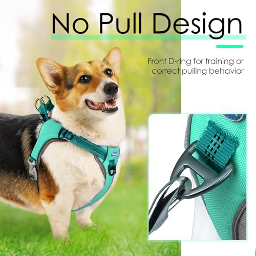 ThinkPet No-Pull Harness, Escape Proof Step-in Reflective Dog Vest Adjustable Breathable Halter Harness with Back/Front Clip for Better Control - color: Dark Green, size: Small