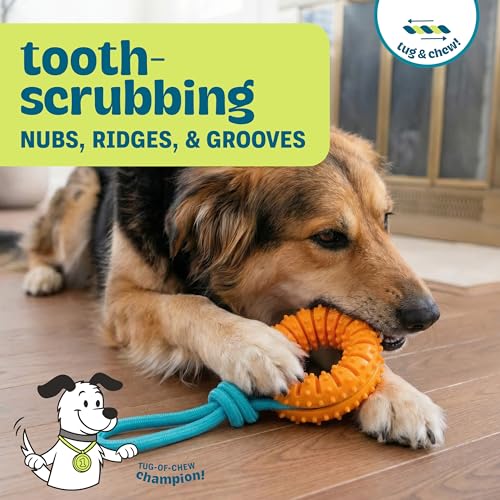 Dental Chew Wheel Dog Toy – Ring & Rope Tug, Multi-Textured, Soft on Teeth, Moderate Chewers, Mint Scented, 9" - color: Chew Wheel