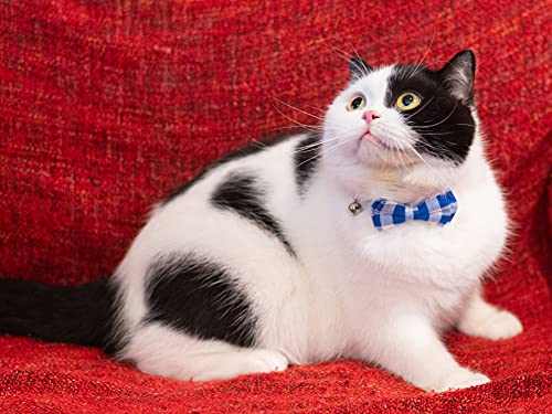 Cat Collar with Bow Tie Bell Breakaway Bowtie 2pcs Set Spring Plaid Flower Floral Solid Boy Girl Cute Kitten Safety A Blue Flower & Plaid - color: A [Flower & Plaid]-Blue