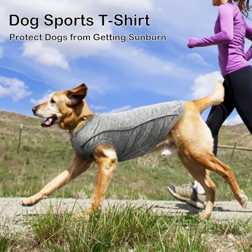 2 Pack Quick-Dry Dog Summer T-Shirt With Reflective Strips - Breathable Cooling Tank Top Pet Sun Protection Clothes for Dogs Cats Grey & Blue XXL - color: Grey & Blue, size: XX-Large