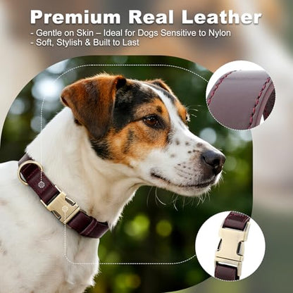 Plutus Pet Genuine Leather Dog Collar – Adjustable Pet Collar with Quick Release Metal Buckle, Soft Real Leather for Small Medium Large Dogs, Heavy Duty & Skin-Friendly (Copper Brown, XS) - color: Copper Brown, size: XS