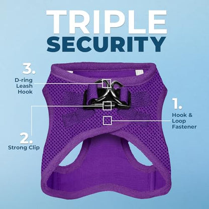 Best Pet Supplies Voyager Step-in Air Harness - All Weather Mesh, Reflective, No Pull Harness for Dogs, Cats - Secure with Hook & Loop Fastener, Buckle, Double D-Rings - Purple, XS