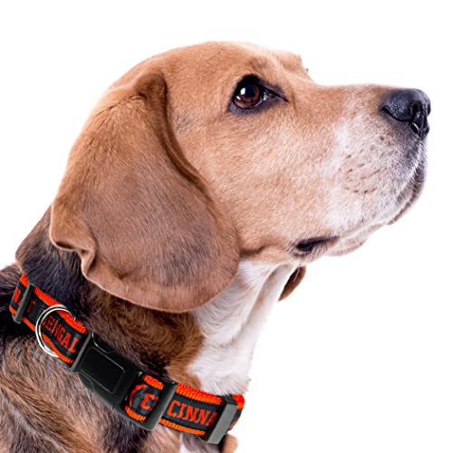 NFL Bengals Dog & Cat Collar - Shiny & Colorful Football Team Collar Licensed by The NFL - color: Cincinnati Bengals, size: Small