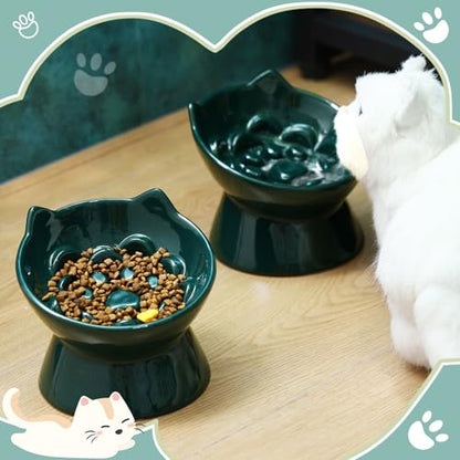 Funnymoom 2 Pcs Ceramic Raised Slow Feeder Cat Bowl, 5.91inch Elevated Cat Slow Feeder Bowl Tilted Anti Vomiting for Dry Wet Food and Water Easy to Clean High Edge(Dark Green) - color: Dark Green