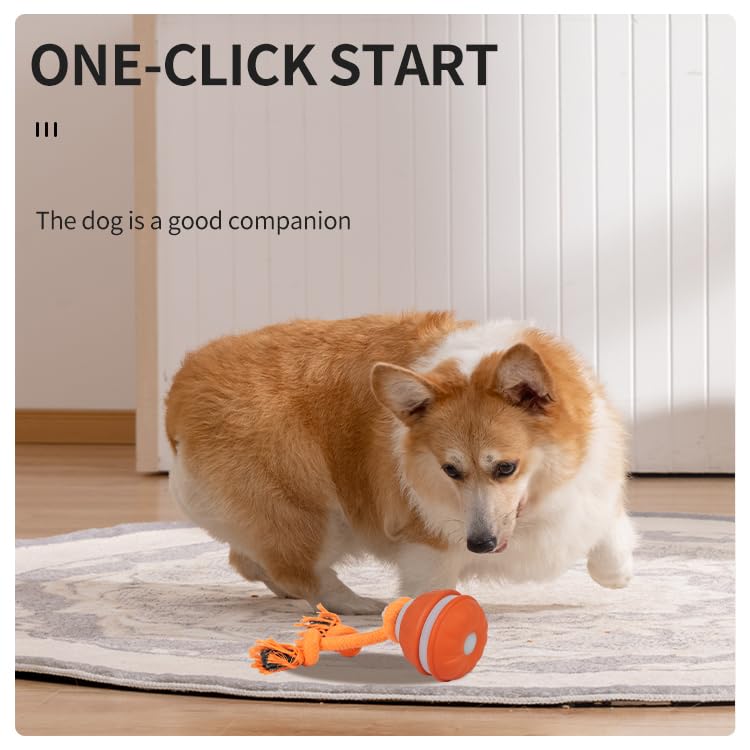 Interactive Dog Toys Dog Ball,Automatic Rolling and Bouncing Moving Dog Toy,Squeaky Rolling Balls with Flashing Light,USB Rechargeable Chew Toys for Puppy Small Dogs, Pet Ball to Keep Them Busy - color: Blue