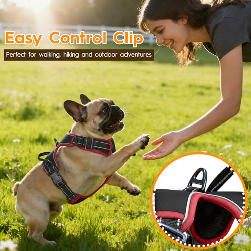 No Pull Dog Harness, No Chock Reflective Adjustable Soft Padded Pet Vest with Easy Control Handle, Easy Wearing with Stylish, Reinforced Knot, 2 Buckles - color: Black/Red, size: X-Small