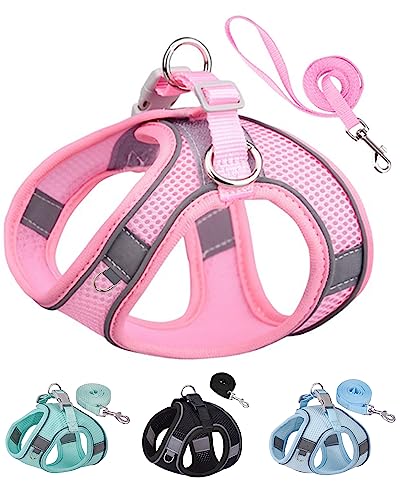 SOLMOONY Dog Harness for Small Medium Large Dogs No Pull, Puppy and Leash Set, Dogs, Step in Harness, mesh Harness. (Pink, XS) - color: Pink, size: XS