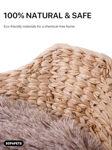 Sopapets Solid Wood Cat Tree for Large Cats, 41.3" Modern Cat Tower with Heavy Duty Real Branch & Hand-Woven Basket, Sisal Scratching Posts & Cozy Bed, Luxury Furniture for Indoor & Maine Coon, Beige - color: Beige