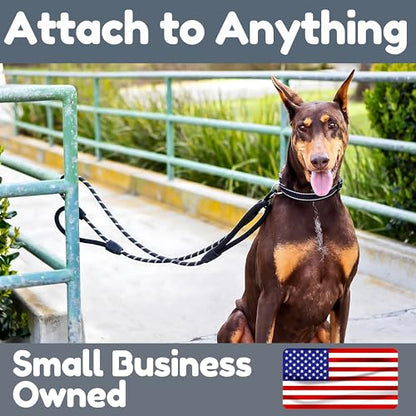 6 Foot Dog Leash, Two Extra Padded Handles, Locking Carabiner Clip, Reflective for Night Visibility, Weatherproof, Heavy Duty Rope Leash, Roam Gear (Black) - color: Black