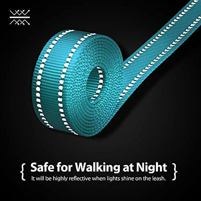 PHOEPET 5 Feet Dog Leash with Comfortable Padded Handle Easy Snap Clasp - Reflective Walking Lead for Large, Medium & Small Breed Dogs (Mint Green + Pink Base) - color: Mint Green + Pink Base