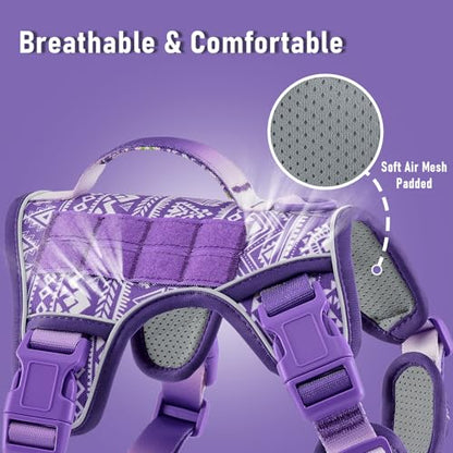AUNZO Dog Harness for X-Small Dog Breed, Light Pet Vest Harness with 2 Leash Clips and 3 Buckles, Easy to Wear, Adjustable Reflective Soft Padded, Boston Terrier, Beagle, Poodles, XS - color: Purple Ethnic, size: Extra Small