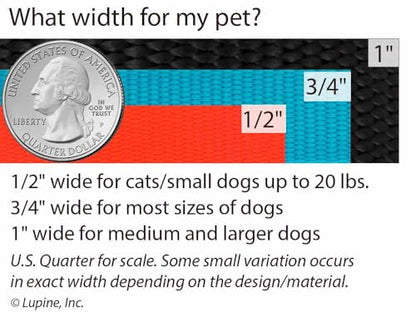 LupinePet Waterproof Splash Dog Collar, Brick Red, 1-inch Wide, adjusts 12-20", Made with BioThane - color: Brick Red, size: Medium: Adjusts from 12 to 20 in, 1-in wide