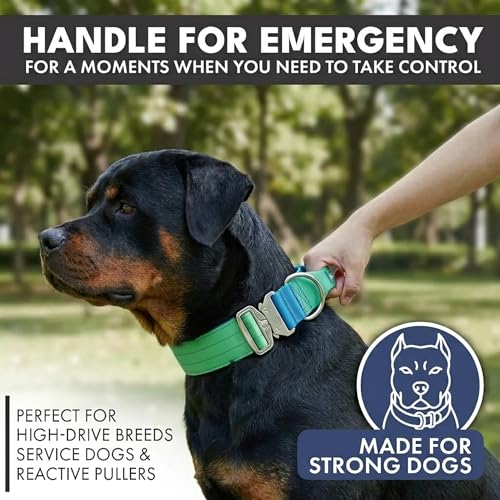 Spark Paws Tactical Dog Collar - Heavy Duty, Premium Quality, Thick and Durable for Large and Medium Dogs - Lime Wave - L - 1.5" - color: Lime Wave, size: L: 21"-26" [1.5" wide]