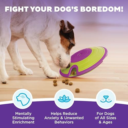 Outward Hound by Nina Ottosson Dog Treat Maze Dog Puzzle Enrichment Toy, Level 2 Intermediate, Green - color: Treat Maze (Purple, Green)