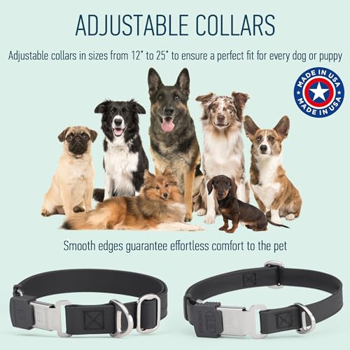 Biothane Waterproof Durable Dog Collar with Herm Sprenger - Quick Release ClicLock Buckle - Fits Medium and Large Dogs - Made in USA (Black, W 3/4" x L 12"-19") - color: Black, size: W 3/4" x L 12"-19"