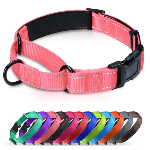 Martingale Collar for Dogs with Quick Release Buckle, Reflective Soft Padded & Escape Proof, Adjustable Nylon Dog Collars for Training & Daily Walking (Neon Pink,XS) - color: Neon Pink, size: XS:width 5/8"neck 10.5-12"