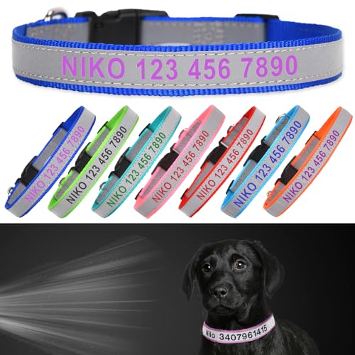 Reflective Personalized Dog Collar - Custom Embroidered Pet Name and Phone Number with Adjustable Nylon Buckle Collars in 5 Sizes XS to XL for Boy and Girl Dogs,Puppy,Blue - color: Blue