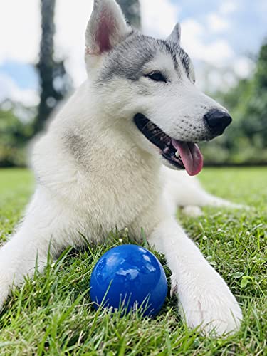 SuperChewer Tough Dog Ball Toy | Lifetime Replacement | Strong Natural Rubber | Great Dog Fetch Toy | Chew Toys for Dogs | Ultra Durable Chew Toys for Aggressive Chewers | Large Breed Tested - size: Large - 3 Inch / 12 oz