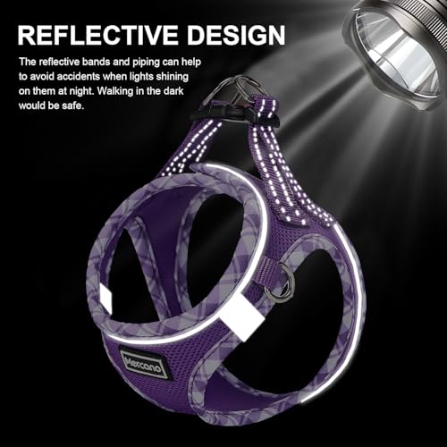 Mercano Soft Mesh Dog Harness and Leash Set, Step-in Reflective Breathable Lightweight Vest Harnesses with Safety Buckle for Small Dogs, Cats (L, Purple) - color: Purple, size: L (Chest: 17.5"-19.5")