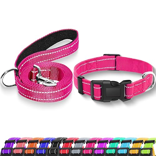 Reflective Dog Collar with Safety Locking Buckle, Adjustable Soft Breathable Nylon Collars for Small, Medium and Large Dogs(Collar+Leash XS Width 5/8" Hotpink) - color: Hotpink, size: X-Small (Width 5/8")
