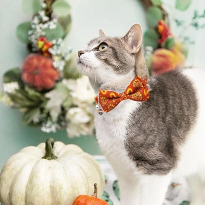 Fall Thanksgiving Harvest Cat Collar with Removable Bow Tie and Bell, Holiday Safety Breakaway Collar with Turkey and Pumpkin Spice Pattern for Boys and Girls Kitties Kittens - color: Thanksgiving Pumpkin