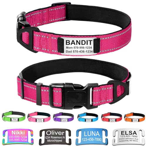 Custom Dog Collars with Name Plate, Engraved Name Plate ID Tags with Reflective Nylon Dog Collar,Soft Neoprene Padded Adjustable Pet Collar for Small Medium Large Dogs,XS Rose Red - color: Rose Red, size: XS(9-12") x 5/8"