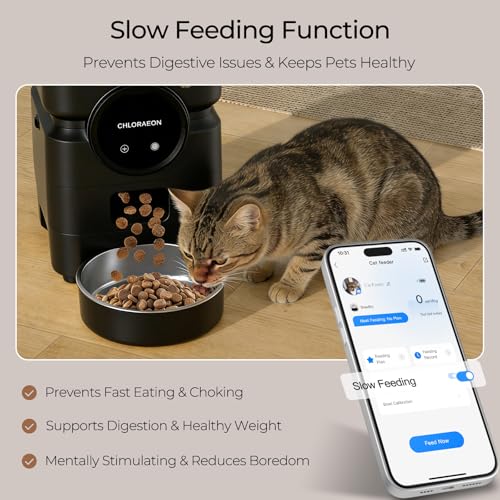 Automatic Cat Feeder for 3 Cats with Slow Feed, 6L Smart WiFi Pet Feeder, 2.4G & 5G Dual-Band, Battery Powered with 15-Day Battery Life, for Cats & Small Dogs (Black) - color: Black