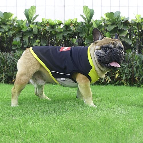 iChoue French Bulldog Summer Cooling Shirt for Dogs UV Sun Protection Vest Sleeveless Stretchy Tank Top English Pug Yellow Black - XXLarge - color: Cooling Shirts Yellow Black, size: XX-Large ( 55 - 70 lbs )