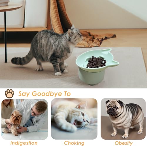 Elevated Cat Bowl, Silicone Dog Bowls for Food and Water, Wide Shallow Cat Food Dish, Whisker Fatigue, Lead & Cadmium Free, Great Height for Pet(Green) - color: Green
