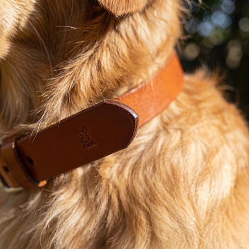 XanYu Premium Genuine Leather Dog Collar – Adjustable Heavy Duty Pet Collar with Sturdy Metal Buckle, Soft & Classic for Puppy and Small, Medium, Large Dogs (Tan)