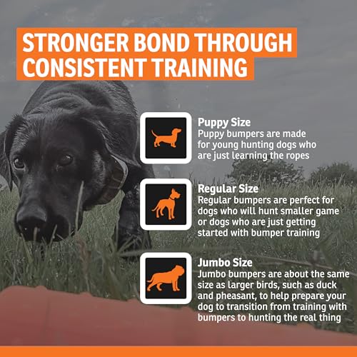 SportDOG Orange Plastic Dummies - Durable Soft Plastic Retriever & Hunting Bumper Training Accessory - Non-Toxic Weatherproof Material - High-Visibility Color