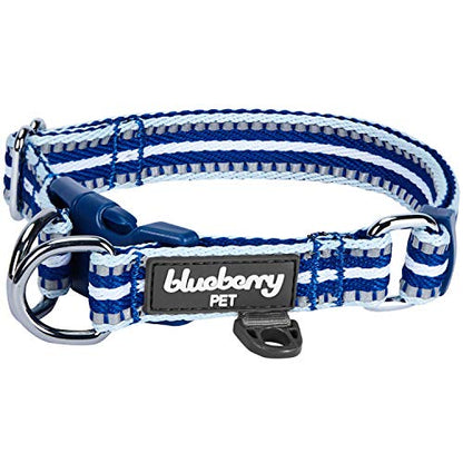 Blueberry Pet Safety Dog Collar with Dual D-Rings | 3M Reflective Multi-Colored Adjustable Collar in Blue and White | Soft Nylon Dog Collar for Active Small Dogs