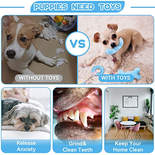 Petcare 6 Pack Puppy Chew Toys - Blue, Soft Rubber Rope & Bone Ball Teething Toys for Small Dogs & Puppies, Including Yorkie - color: Blue
