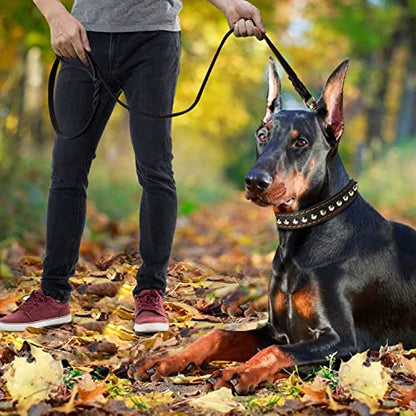 LWBMG Leather Dog Leash 6ft x 3/4 inch, Heavy Duty Genuine Leather Braided Dog Training Leash, Soft and Strong Pet Lead for Large, Medium, Small Dogs - color: Brown, size: 6 ft x 3/4 inch