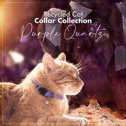 Pawtitas Recycled Purple Reflective Cat Collar – Eco-Friendly Breakaway Safety Buckle, Adjustable Kitten & Adult Collar with Removable Bell and High-Visibility Strap - color: Recycled Purple