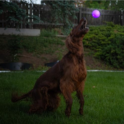 Outward Hound by Planet Dog Strobe Light Up LED Ball Dog Toy, Purple - color: Purple Strobe Toy