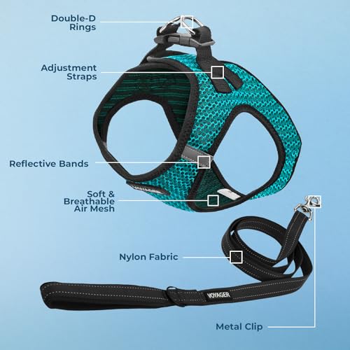 Best Pet Supplies Voyager Step-in Air All Weather Mesh Harness and Reflective Dog 5ft Leash Combo with Neoprene Handle, for Small, Medium and Large Breed Puppies - Set (Turquoise 2-Tone), X-Small