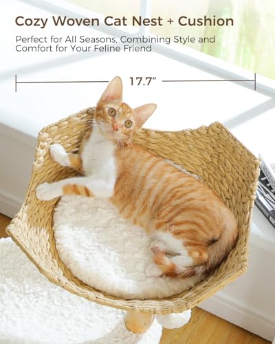 MUTTROS Modern Cat Tree Tower for Large Cats, Wood Cat Tower with Natural Scratching Post, Solid Wood Condo, Real Branch Luxury Cat Furniture with Curved Bed, Top Basket, White - color: Cloud White, size: 38" Solid Wood Cat Tree
