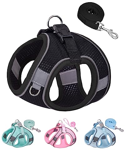 SOLMOONY Dog Harness for Small Medium Dogs No Pull, Puppy and Leash Set, Dogs, Step in Harness, mesh Harness. (Black, XXS) - color: Black, size: XXS