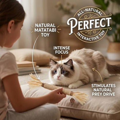 Cat Toys 12Pack Silvervine Chew Stick 12Pack Kitten Treat Catnip Toy Kitty Natural Stuff Catnip Matatabi for Cleaning Teeth Indoor Dental Snack Interactive - size: 12Pack