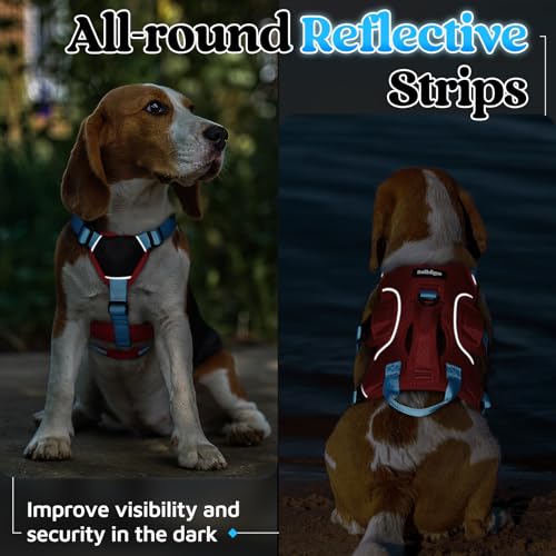 rabbitgoo Escape Proof Dog Harness Large Dogs, Soft Padded Full Body Pet Harness, Reflective Adjustable No Pull Vest with Lift Handle and Leash Clip for Walking Hiking Training, Blue & Red, S - color: Blue & Red, size: Small (Pack of 1)