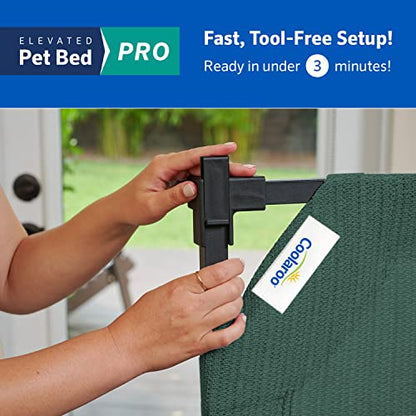 Coolaroo Pro Elevated Dog Bed - Low-Profile Access, Moisture-Resistant Cover, Breathable Fabric & Tool-Free Setup, Brunswick Green, Standard - color: Brunswick Green, size: Standard